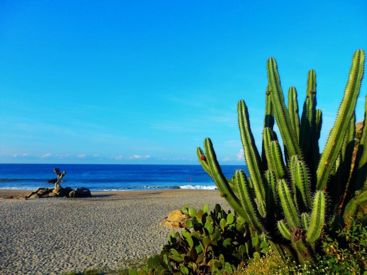 Hotelito Swiss Oasis - Playa Zicatela - Adults Only Puerto Escondido  Exterior foto